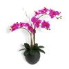 Cg Hunter Artificial Pink Double Stem Orchid In Pink