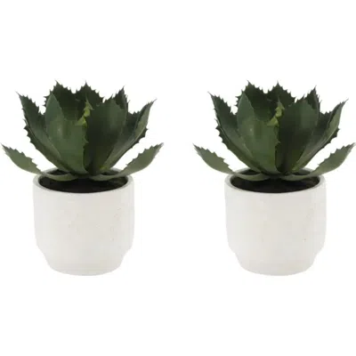 Cg Hunter Artificial Succulent Plant Set In Green