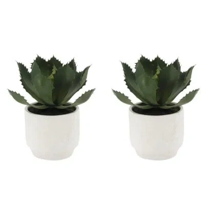 Cg Hunter Artificial Succulent Plant Set In Stone Pots, Luxury 2-pack In Green