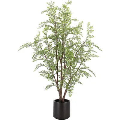 Cg Hunter Faux Maidenhair Fern In Green
