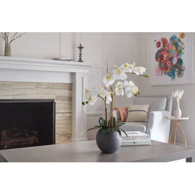 Cg Hunter Floral 25in Double Stem Orchid In White