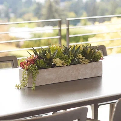 Cg Hunter Plant 27in Succulent Arrangement, Pot In Beige
