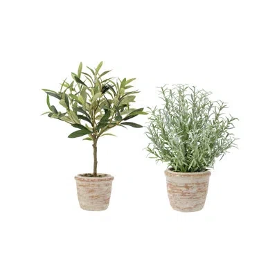 Cg Hunter Plant 2pk Pot Rosemary 12in Olive 16in In Green