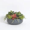 Cg Hunter Round Artificial Succulent Arrangement, Gray Planter In Gray