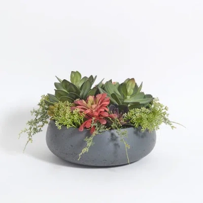 Cg Hunter Round Artificial Succulent Arrangement, Gray Planter