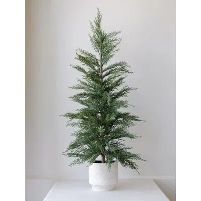 Cg Hunter Seasonal Greenery Tree S/2 Cedar Pot 2ft