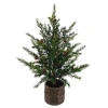 Cg Hunter Seasonal Greenery Tree S/2 Pine Bskt 2ft In Green