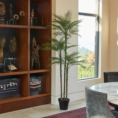 Cg Hunter Tree Palm Grower 7ft In Green