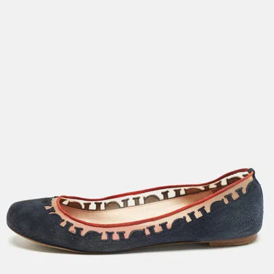 Ch Carolina Herrera Navy Blue Suede Ballet Flats