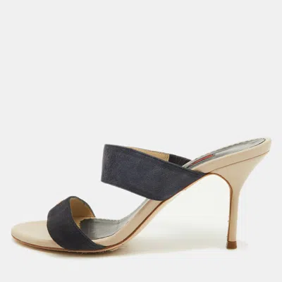 Ch Carolina Herrera Navy Blue Suede Slide Sandals In Black