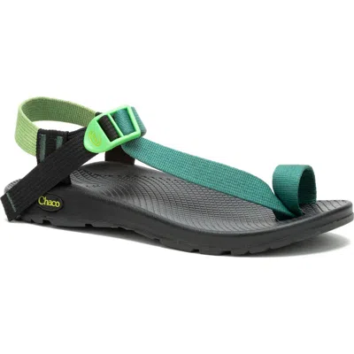 Chaco Bodhi Toe Loop Sandal