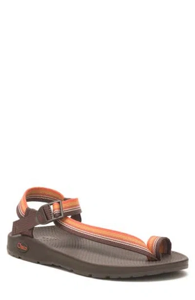 Chaco Bodhi Toe Loop Sandal