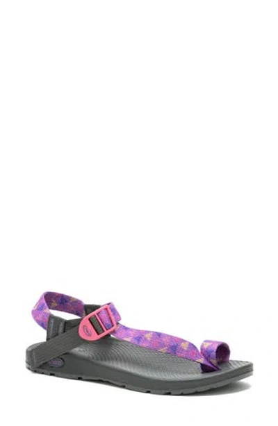 Chaco Bodhi Toe Loop Sandal
