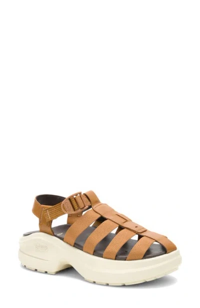 Chaco Cushform Fisherman Sandal In Brown