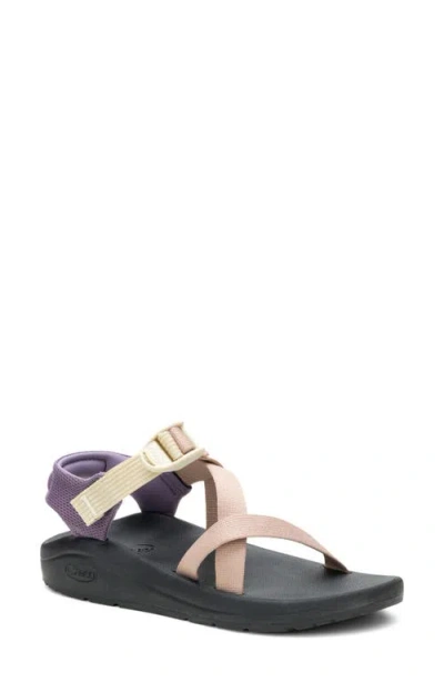 Chaco Cushz Sandal In Multi