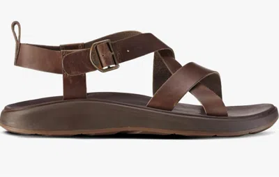 Chaco Men's Wayfarer Sandal In Otter In Multi