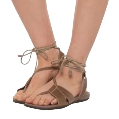 Chaco Sage Sandal In Tan In Multi