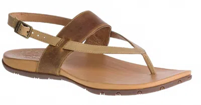 Chaco Women's Maya Ii Adjustable Back Strap Sandals In Brown