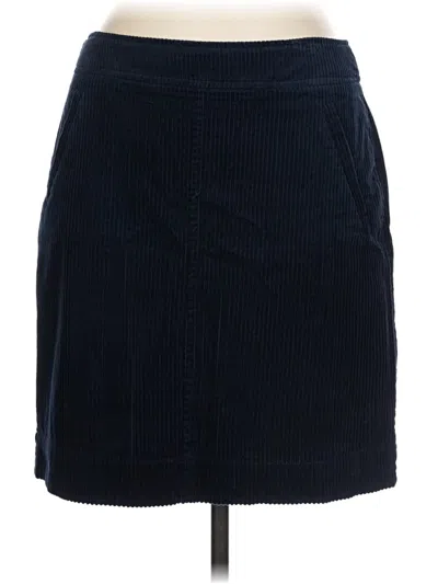 Pre-owned Chadwicks Casual Skirt In Blue