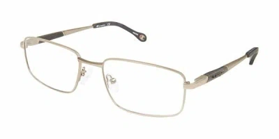 Champion 1015 C01 Men's Glasses Grey Size 54 - Free Lenses - Blue Light Block Available In Neutral