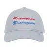 Champion Americana Cap In Gray