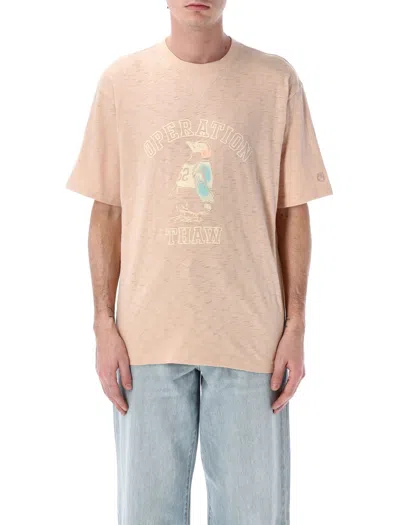Champion Archive Ghost Ranch T-shirt In Pink