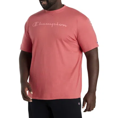 Champion Big & Tall Tonal Script T-shirt In Washed Red Tonal