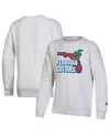 Champion Big Boys And Girls Heather Gray Florida Gators Reverse Weave Pullover Sweatshirt In Gray