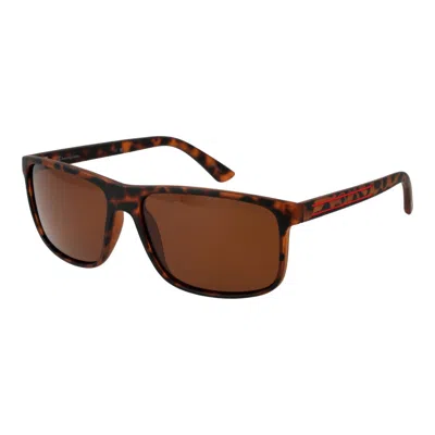 Champion Blue Stainless Steel Sunglasses In Brown