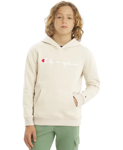 Champion Kids' Boys' 8-20 Signature Logo Pullover Hoodie In Silver Lining