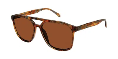 Champion Brazenx Polarized C02 Occhiali Da Sole Tartarugatishell Per Uomo