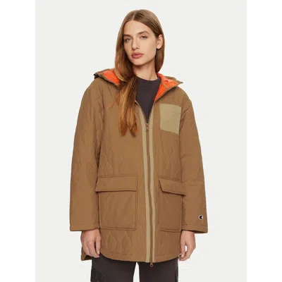 Champion Brown Polyamide Sweatshirt