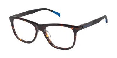 Champion Grin C02 Occhiali Da Vista Tartarugatishell Per Uomo (solo Montatura) In Brown