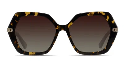 Champion Liv Tortoise,gold