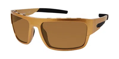 Champion More Polarized C03 Occhiali Da Sole Marroni Per Uomo