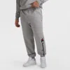 Champion Powerblend Joggers, Script Logo - Big & Tall In Gray