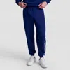 Champion Powerblend Joggers, Script Logo In Blue