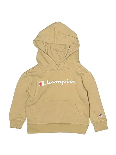 Pre-owned Champion Kids' Pullover Hoodie In Brown