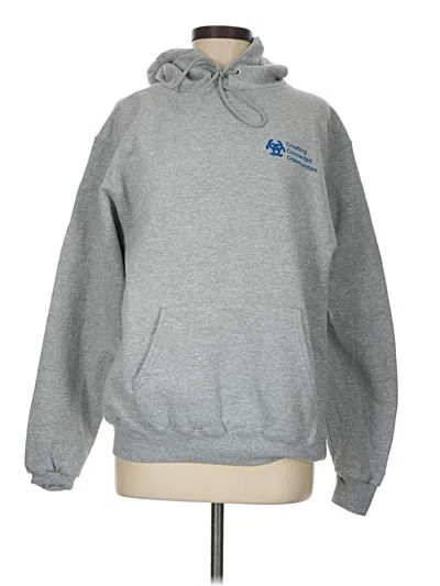 Pre-owned Champion Pullover Hoodie In Gray