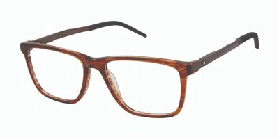 Champion Rove C01 Occhiali Da Vista Marroni Per Uomo (solo Montatura) In Brown