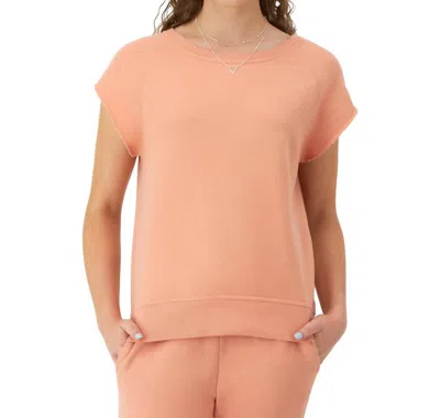 Champion Short Sleeve Crewneck Sweatshirt, In Peach Grapefruit In Pink