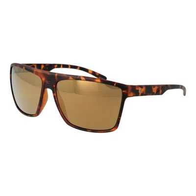 Champion Gold Stainless Steel Sunglasses In Brown