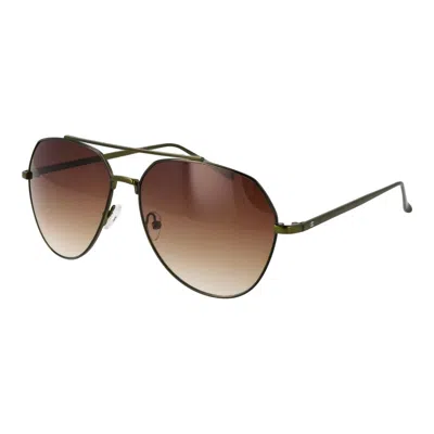 Champion Gray Stainless Steel Sunglasses In Brown
