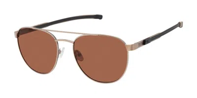 Champion Teo Polarized C02 Occhiali Da Sole Marroni Per Uomo