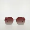 Champion Women's Polarized Boho Square In Brown