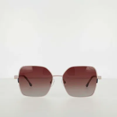 Champion Women's Polarized Boho Square In Brown