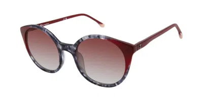 Champion Wren Polarized C01 Occhiali Da Sole Tartarugatishell Per Donna