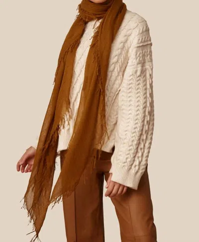 Chan Luu Cashmere & Silk Scarf In Tapenade In Brown