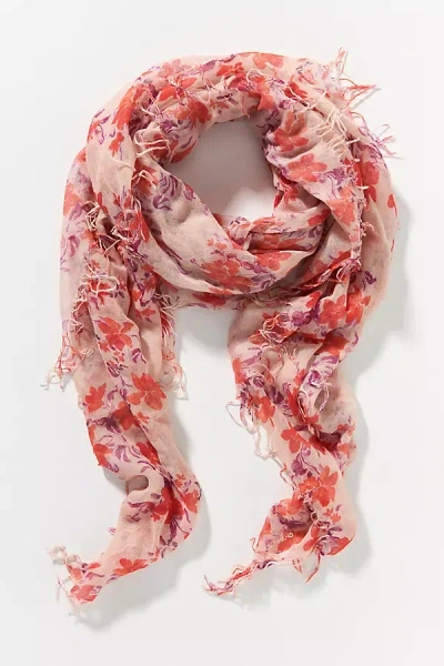 Chan Luu Cashmere-silk Floral Scarf In Multicolor