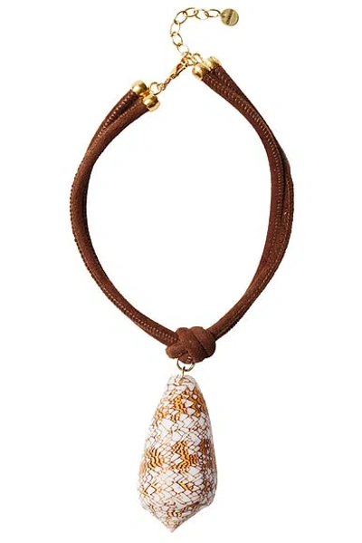 Chan Luu Conch Necklace In Brown